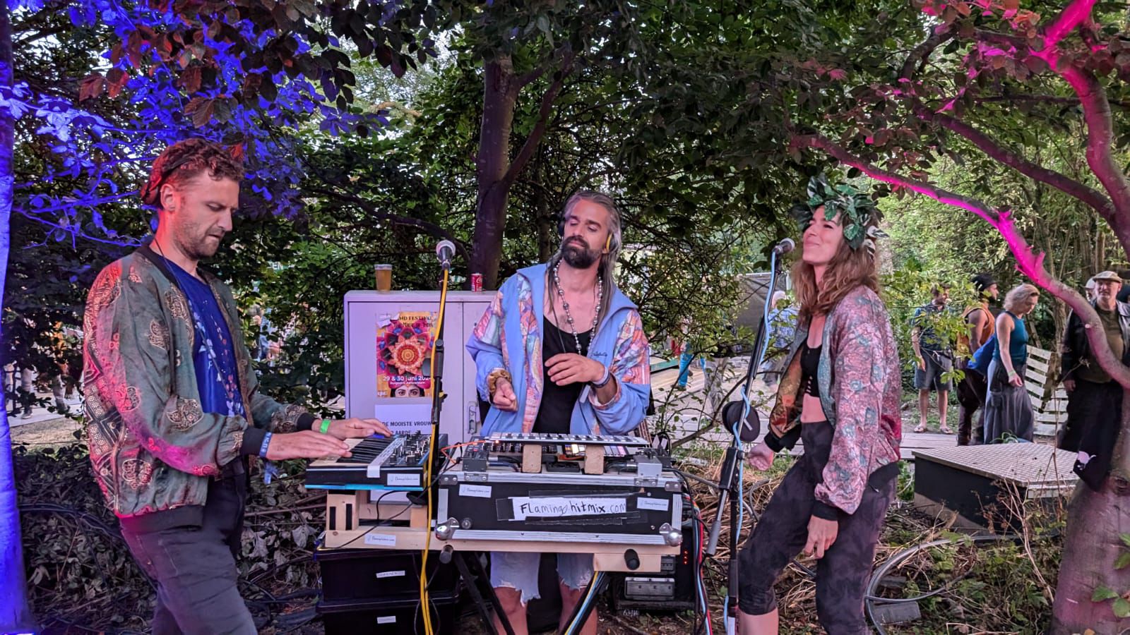 Flamingo Hitmix live